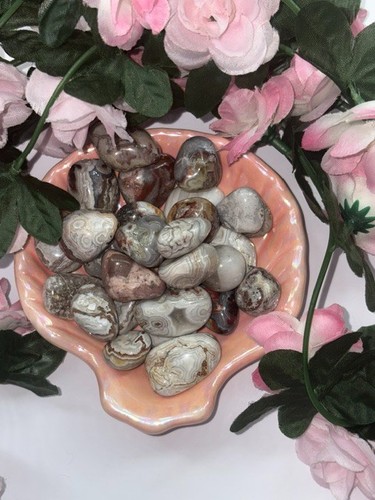 Crazy lace agate - lace,