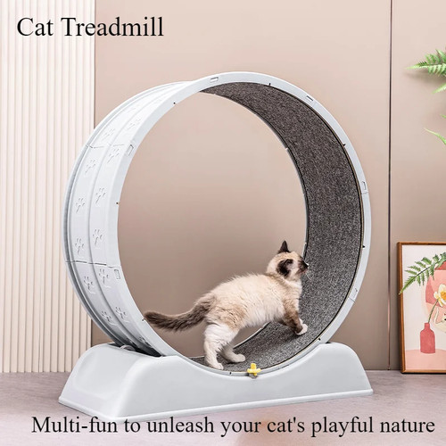 Cat treadmill quiet exercise - treadmill,