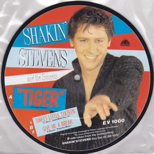 Shakin stevens and the - stevens,
