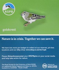 RSPB Pin Badge goldcrest NIIC