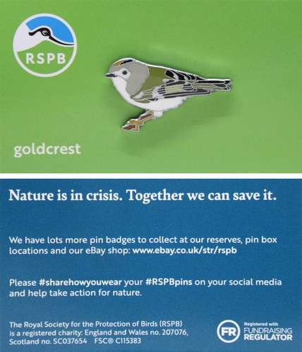 Rspb pin badge - rspb, goldcrest