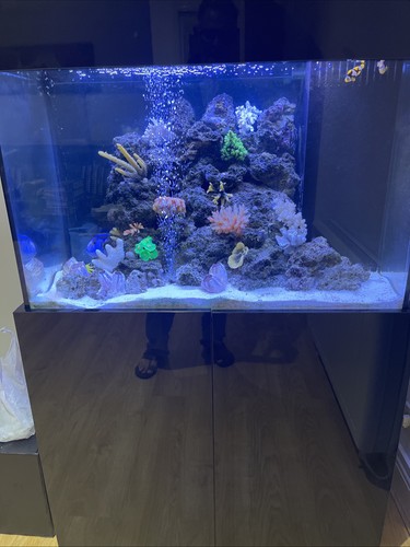 Marine aquarium - marine,