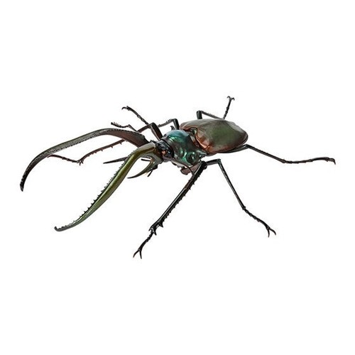 Bandai gashapon stag beetle - bandai,
