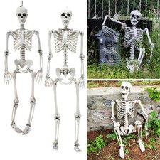 30-170cm Halloween Poseable Skeleton Full Life Size Human Skeleton Decor Prop UK
