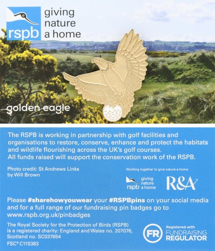 Rspb pin badge - rspb, special