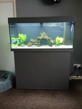 Juwel rio 180 3ft grey fish