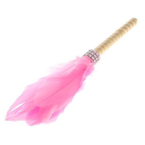 Romantic feather sign - feather, pen