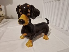 Large Pets With Personality