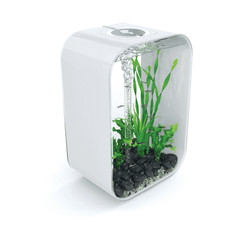 biOrb LIFE 45 Aquarium with
