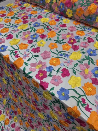 Lace multicolor embroidery - lace,