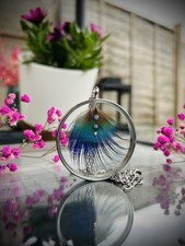 🩶🪶💙Peacock feather