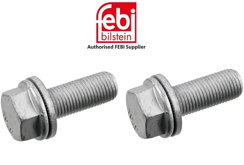Brake caliper carrier bolts - carrier,