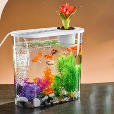 Betta Tank Small Desktop