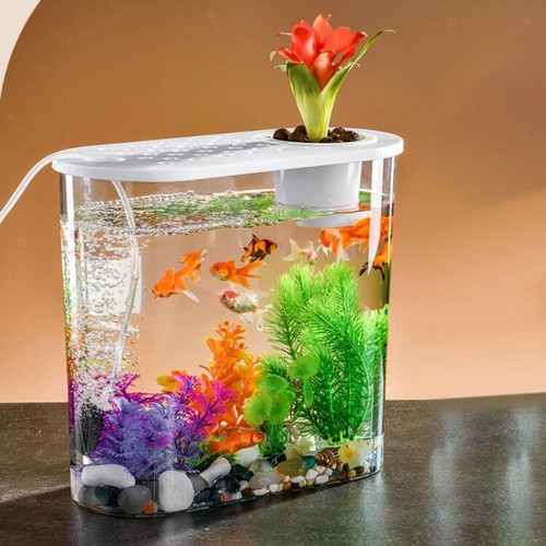 Betta tank small desktop - betta,