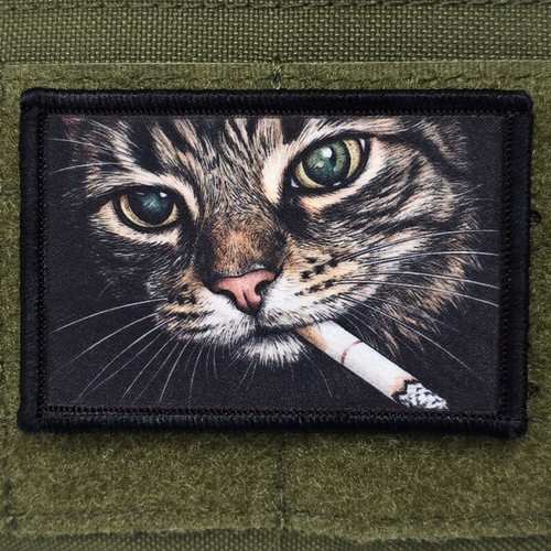 Smoking cat patch moral - smoking,