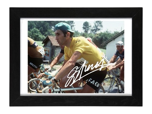 Eddy merckx signed autograph - merckx,
