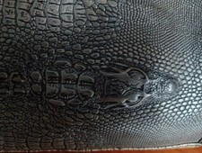 Vintage Crocodile Skin / Snake