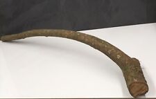 Blackthorn Shank Walking Stick