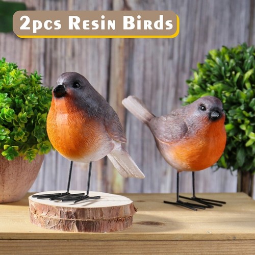 Set robin garden - 2,