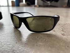 Serengeti Pisa Driving