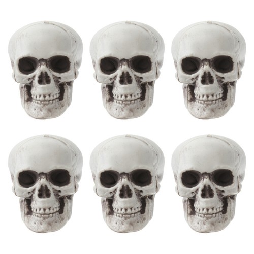 Realistic human skull - human,