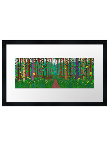 David hockney framed wall art - framed,