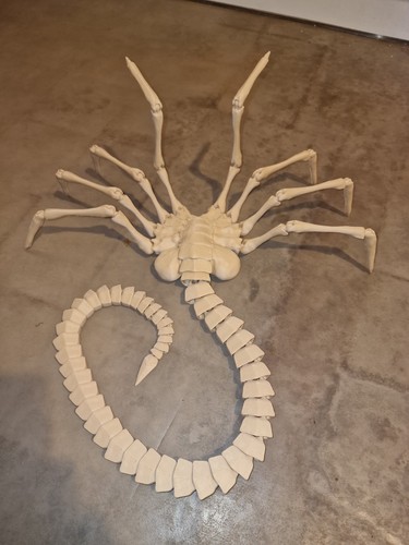 Facehugger life size realistic - facehugger, life-size