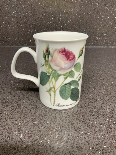 Roy kirkham redoute roses bone - roses,