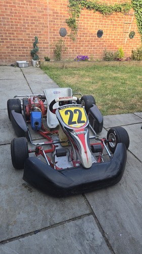 2013 wright kart - go,