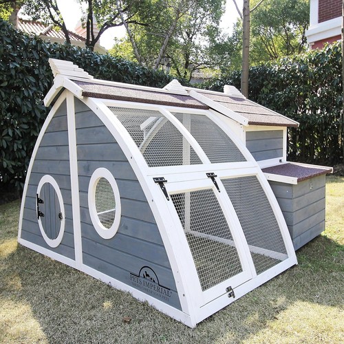 Large ark chicken - large, house