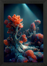 Underwater Coral Framed Wall