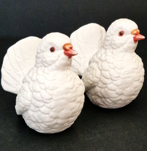 Vintage white dove bird - dove,