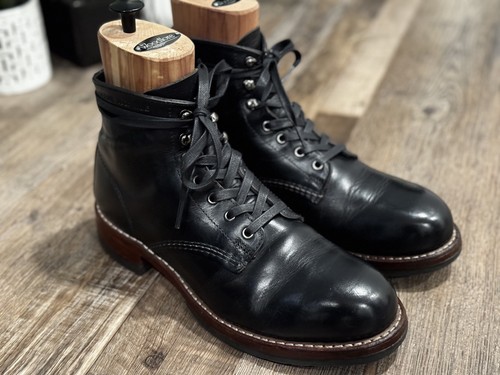 Wolverine 1000 mile - mile,