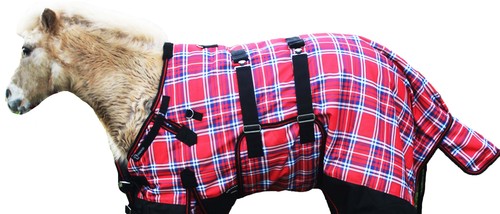 Challenger 1200d foal winter - challenger,