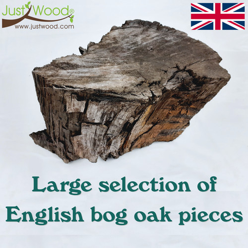 English bog oak wood pieces - bog,