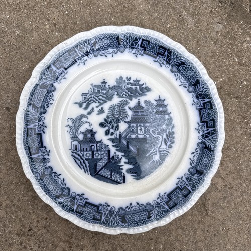 Blue and white - blue, pountney