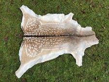 Nice New Real Summer Fallow