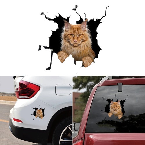 Car cat graphics sticker vinyl - cat,