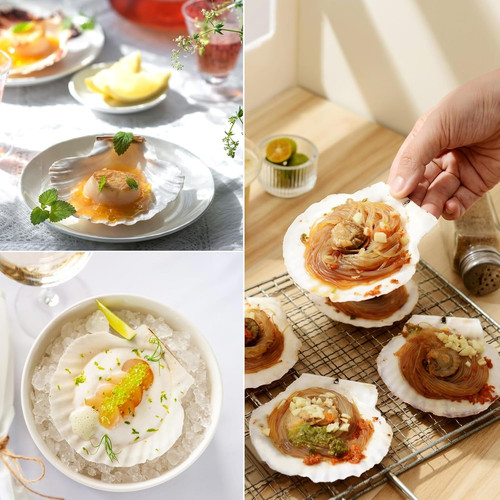 Pcs scallop shells natural - 12,