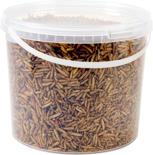 Wild bird food tub - 5l,