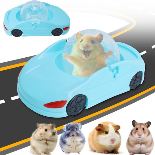 Dwarf hamsters exercise - 1,