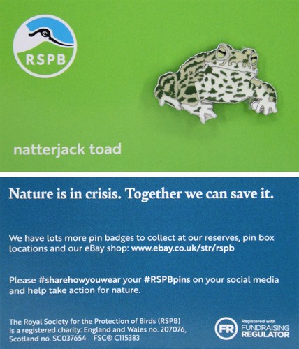 Rspb pin badge - rspb,