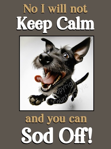 Patterdale terrier funny - terrier,