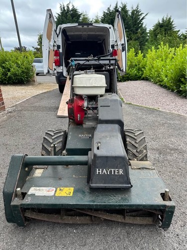 Hayter condor walk - hayter,