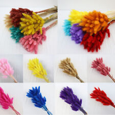 60pcs Rabbittail Dried Flowers Bouquet Plants Wedding Party Home Decoration UK