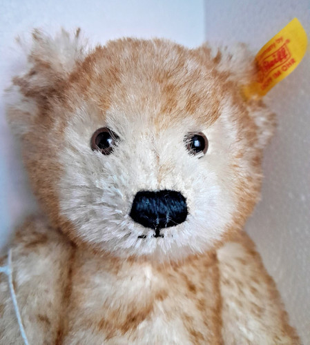 Steiff bear replica petsy 1928 - petsy,