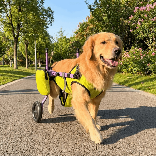 Adjustable dog wheelchair - adjustable,