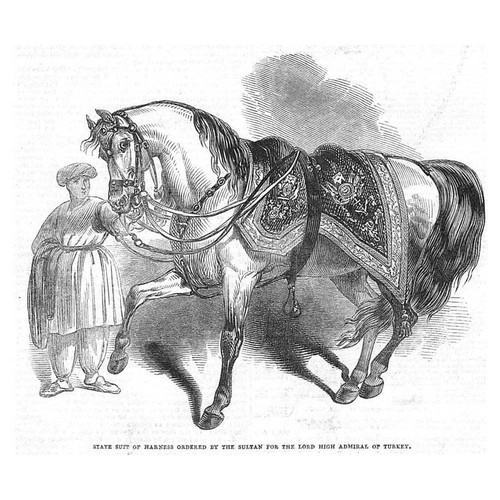 State horse harness for the - state,