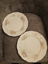 Pair of dinner plates Royal