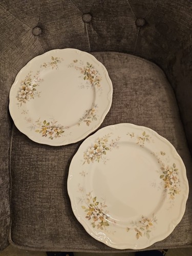 Pair dinner plates - dinner,
